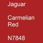 Preview: Jaguar, Carmelian Red, N7848.